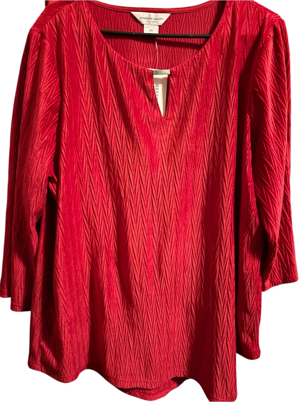 Allison Daley Crimson Textured V-Notch Tunic